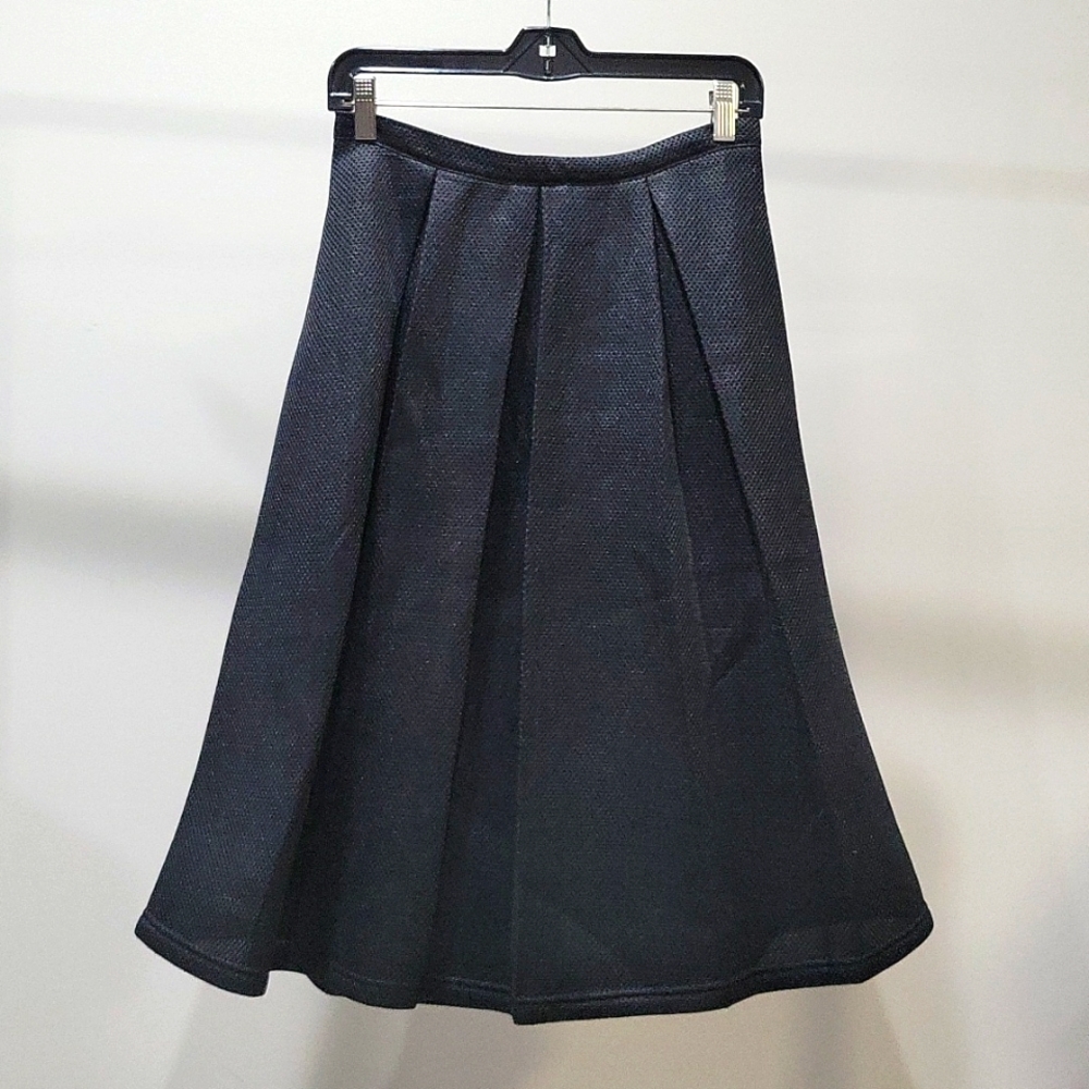 Netted A-lined Skirt